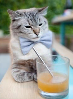 华体会官方网站-中国篮球青少年篮球训练方法创新与实践探讨，中国篮球青少年篮球训练方法创新与实践探讨答案  第5张