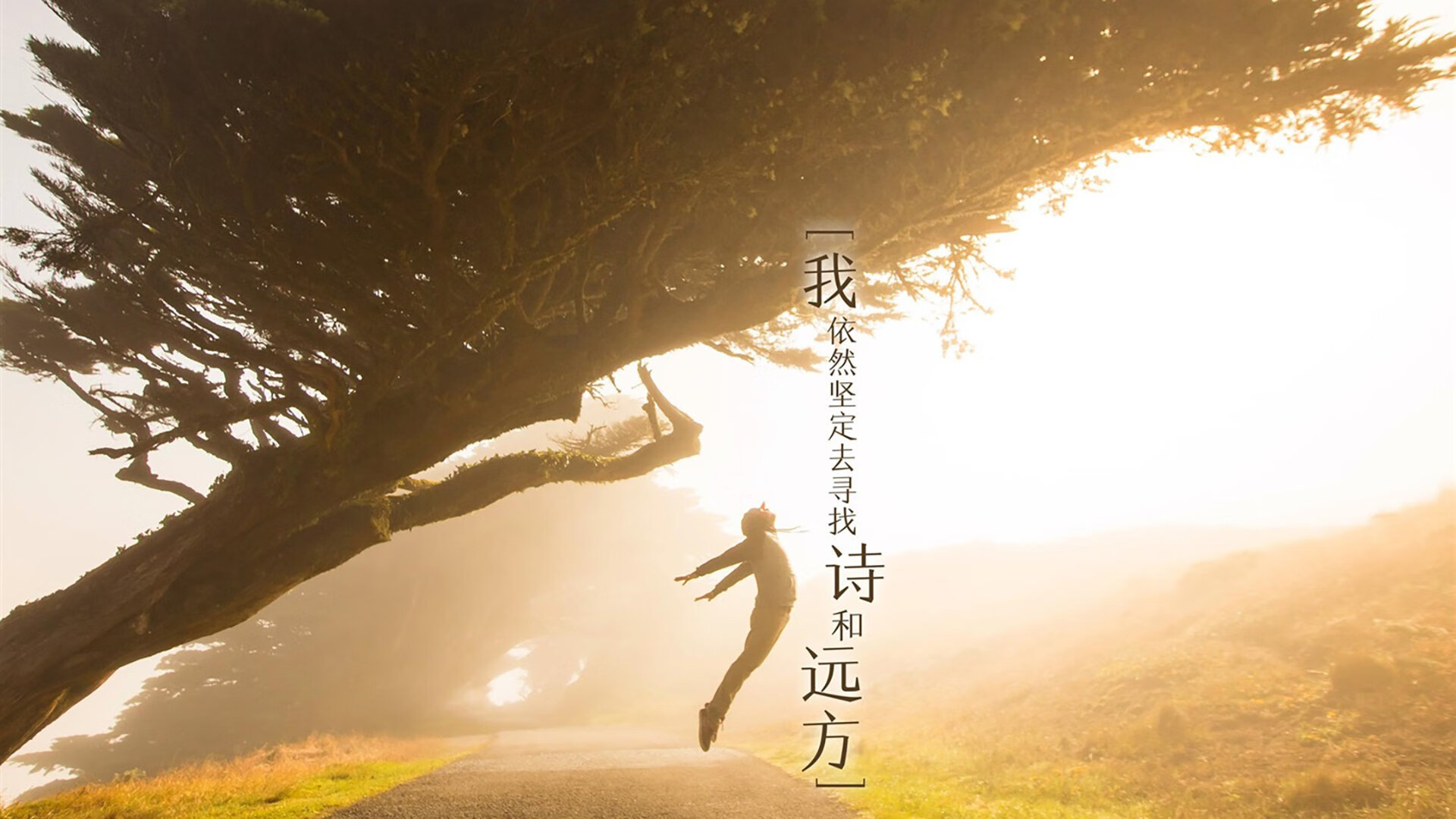 华体会登录入口-中国篮球青少年篮球训练设施建设现状分析，《中国青少年篮球训练教学大纲》  第3张