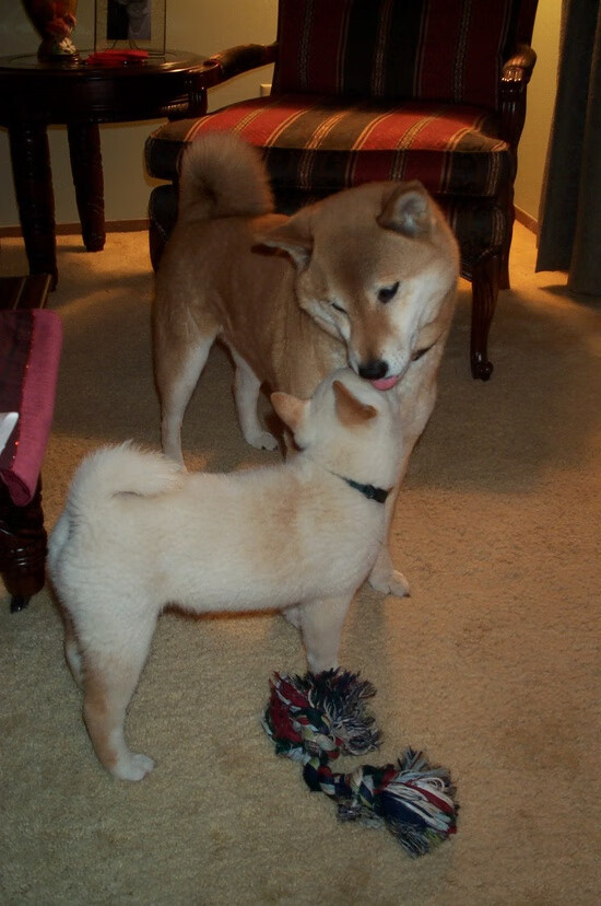 华体会平台-中国青少年篮球课程改革与教学质量提升，中国青少年篮球课程改革与教学质量提升的关系