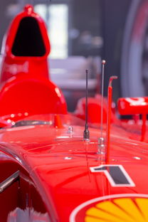 华体会平台-全国青少年旱地冰球锦标赛在哈尔滨精彩展开，旱地冰球比赛时间