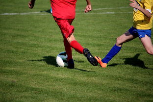 华体会手机在线-篮球训练计划科学制定与执行效果评估，篮球训练计划制定与范例  第1张