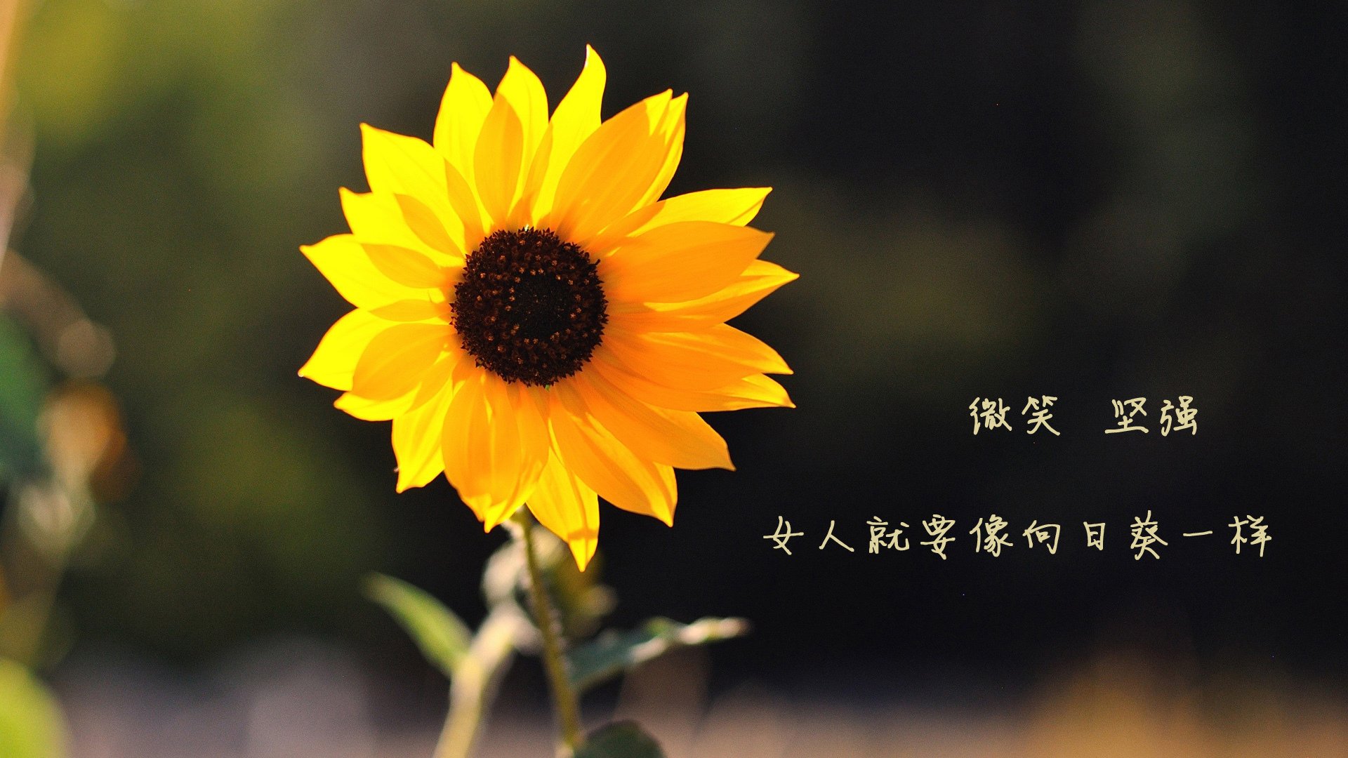 华体会网址-篮球运动员比赛数据智能采集技术，篮球运动员比赛数据智能采集技术是什么  第4张