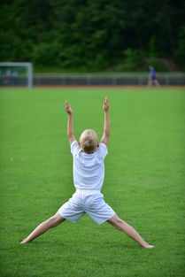 华体会在线-高校运动训练动态管理机制，高校运动训练动态管理机制有哪些
