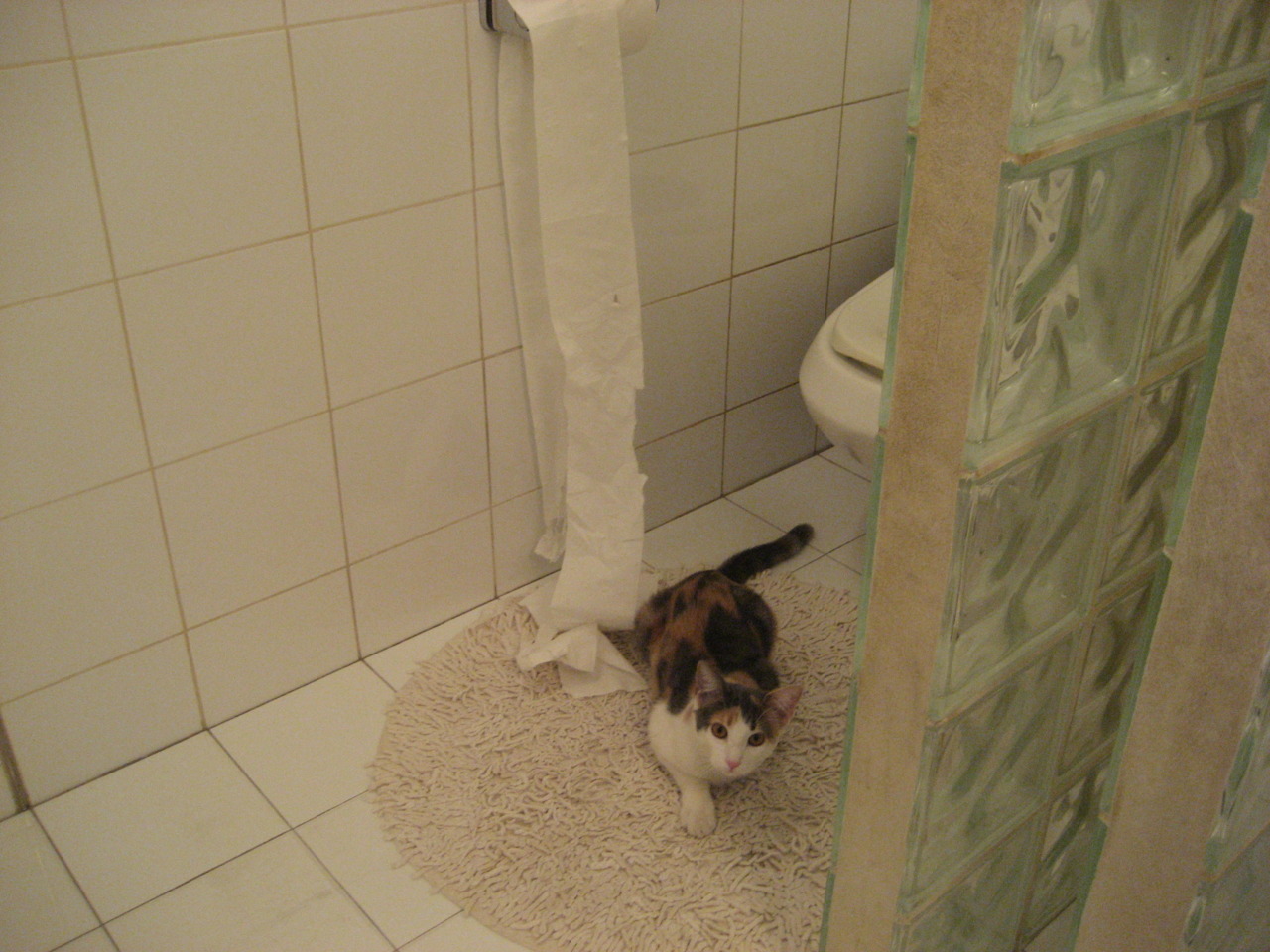 华体会app登入-中国男篮青年梯队逐步形成战斗力，中国cba青年男篮名单