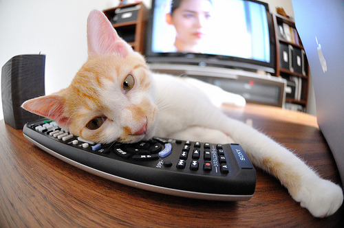 -德国队2024年表现：如何迎接来自强队的挑战，德国队2022