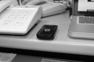 华体会在线下载-技术数据揭示冠军转身平均仅0.65秒，冠军转盘