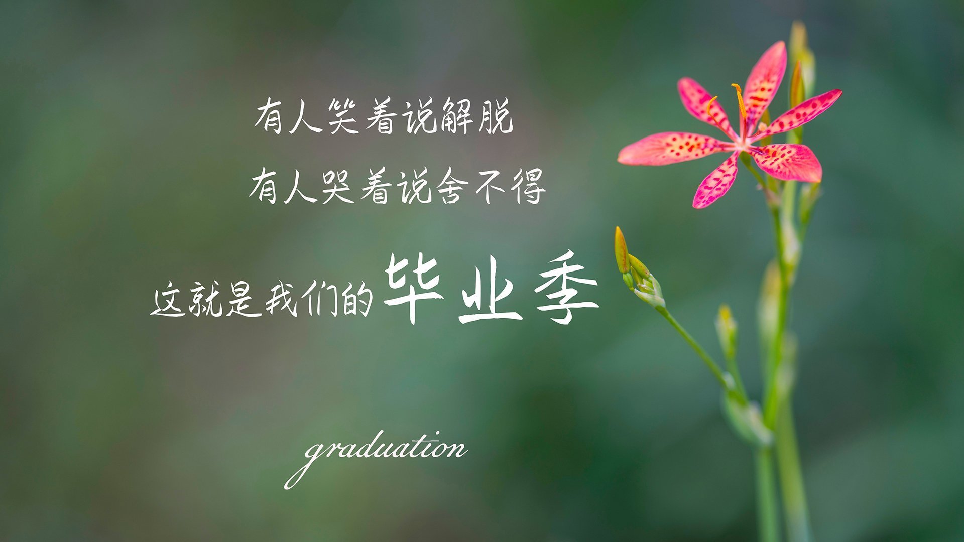 华体会登录入口-教练指挥风格与球队后劲表现之间的关系探讨，指挥后卫