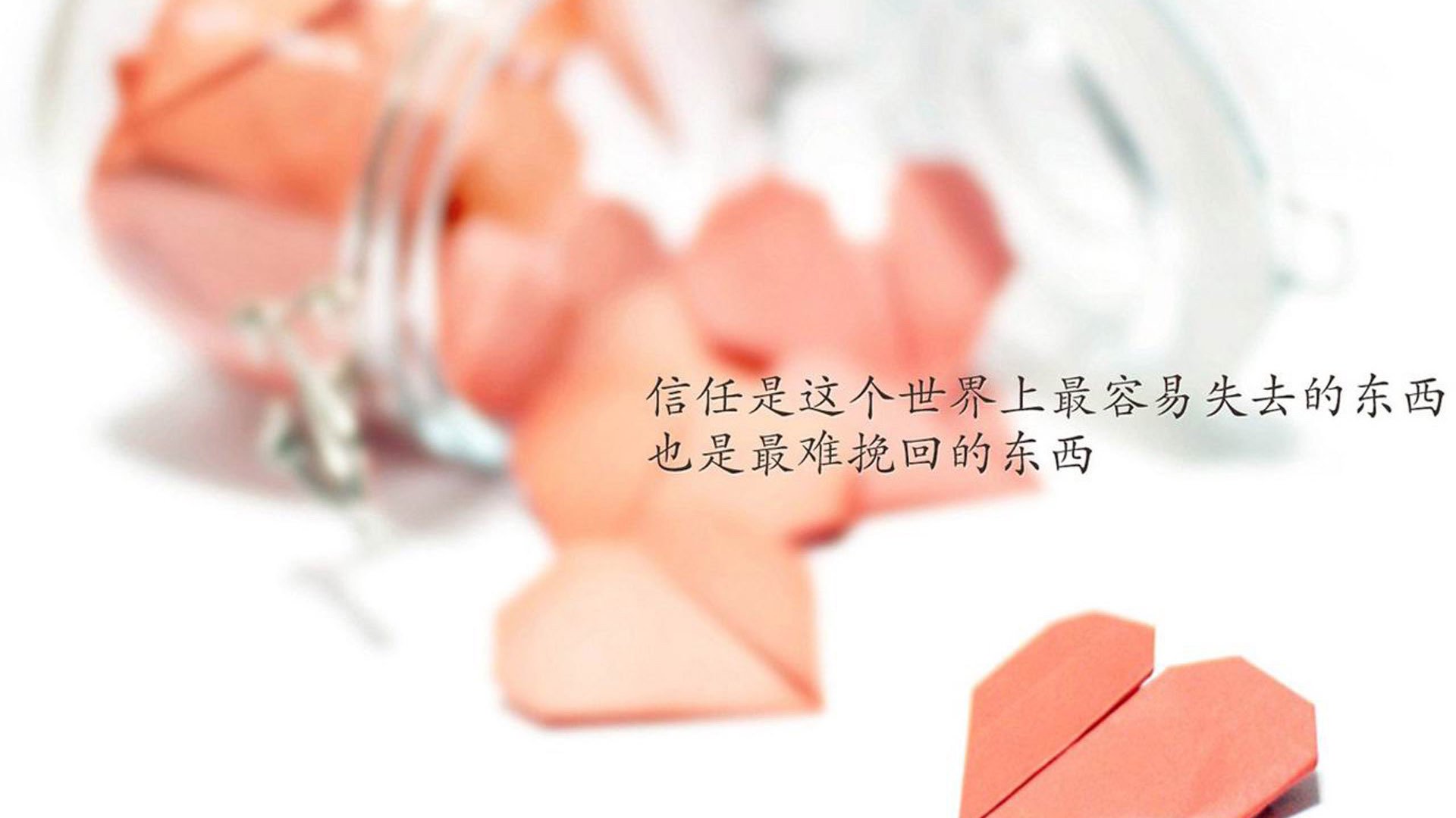 华体会登录入口-阿尔及尔国内联赛水平显著提升国家队后备力量，阿尔及尔规划