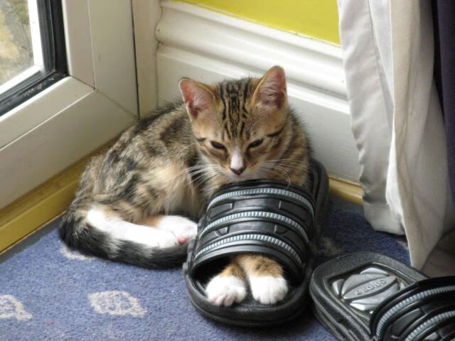 华体会官网入口-世界杯小组出线形势图解，世界杯小组赛出线形势