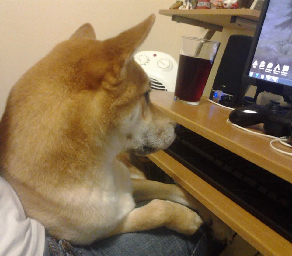 -中国足球国家队模拟高强度逆境比赛场景，国足逆境下迎来爆发