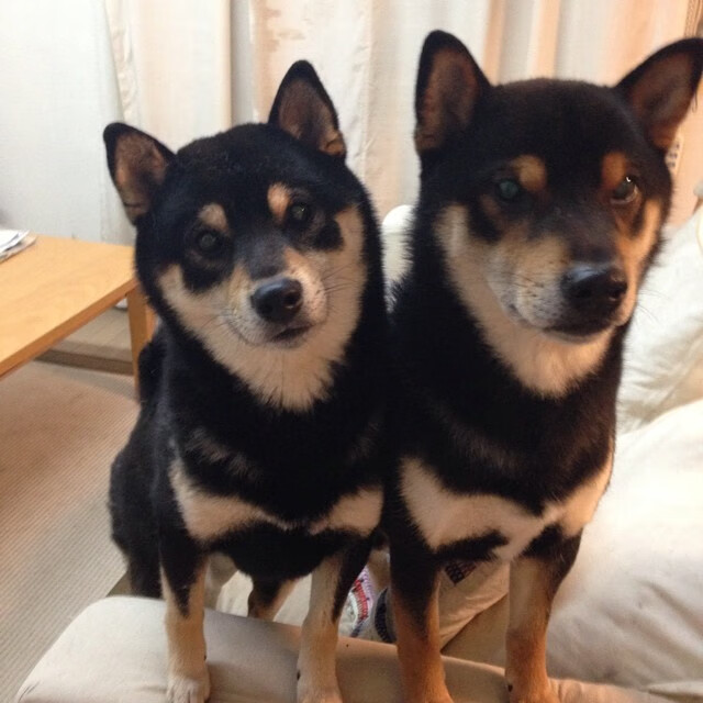 华体会手机网站-中超球队开展非比赛日社区互动提升品牌好感度，中超联赛的参与机制  第1张