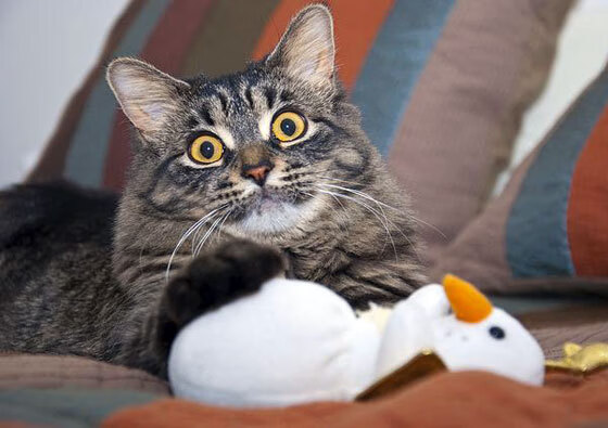 华体会官网入口-德甲攻势凶猛：攻守兼备，精彩不断！，德甲打法特点