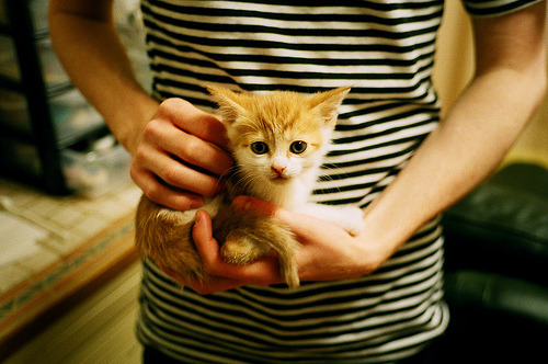 华体会登录入口-快船锋线球员展现篮下终结能力受到称赞，快船巅峰时期球员名单