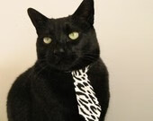 华体会app注册-澳大利亚政府支持橄榄球联赛扩展国际市场，澳大利亚橄榄球比分