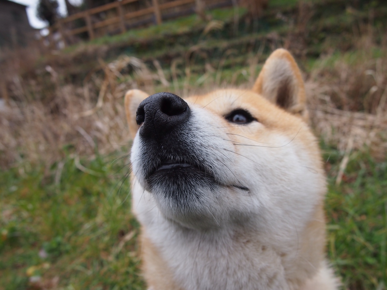 华体会官网入口-篮网青年队模拟训练与一队展开对抗，篮网队内训练赛