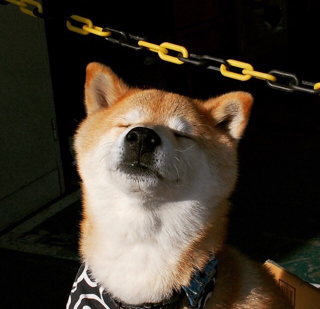 华体会官方网站-英超激烈拼搏：每场战斗都精彩绝伦！，英超争4