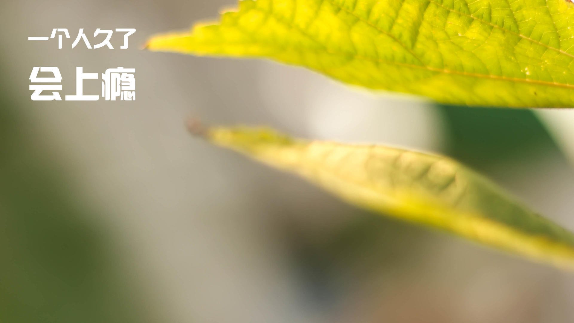 华体会app安装-西甲火力全开：连续攻门突破对手防线，西甲连场进球纪录