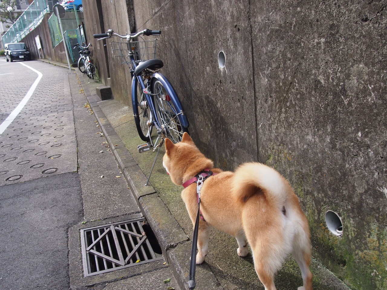 华体会app安装-足球联赛公平竞赛奖候选名单公布，足球联赛公平竞赛奖候选名单公布了吗