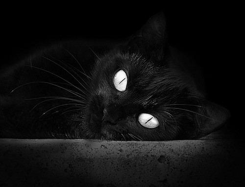 华体会手机网站-中国足球青少年赛事心理干预体系与实践路径，简述青少年足球运动员的心理训练方法