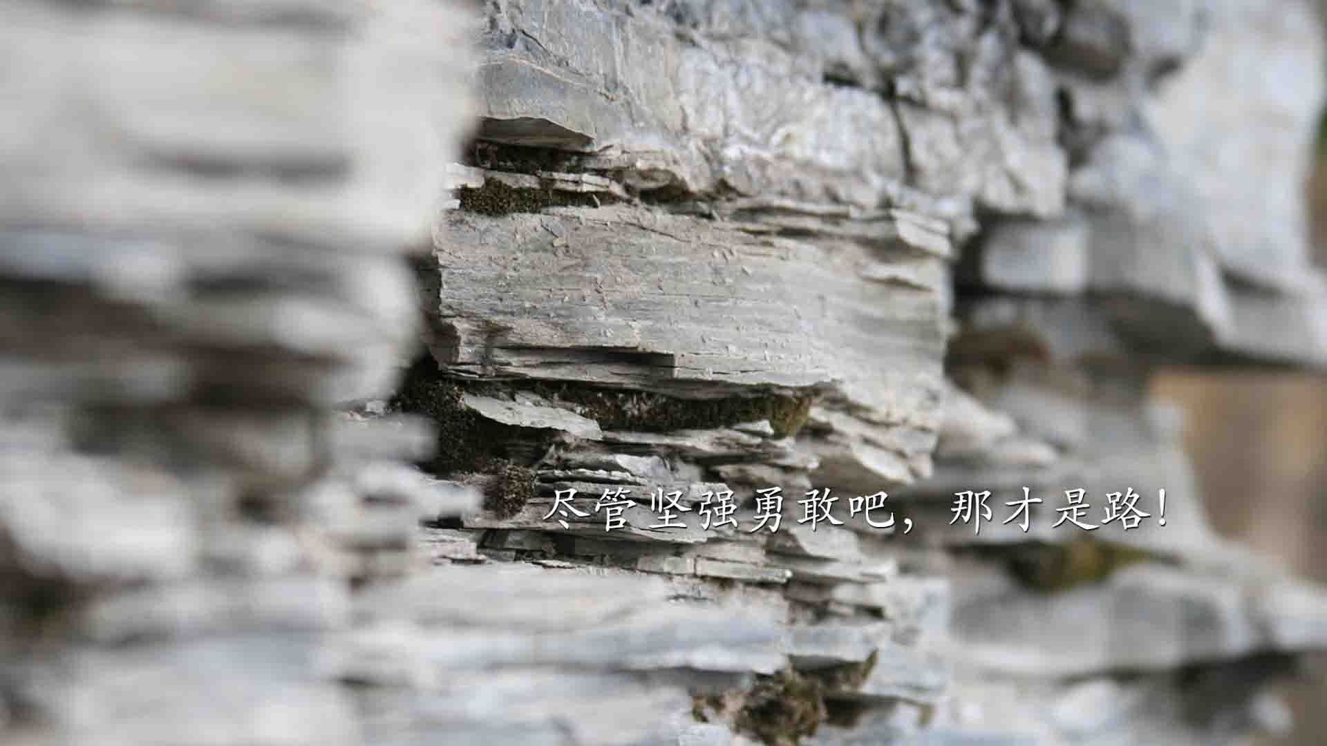 华体会网站-医药股如何应对特朗普新政冲击？，医药股还会继续走强吗