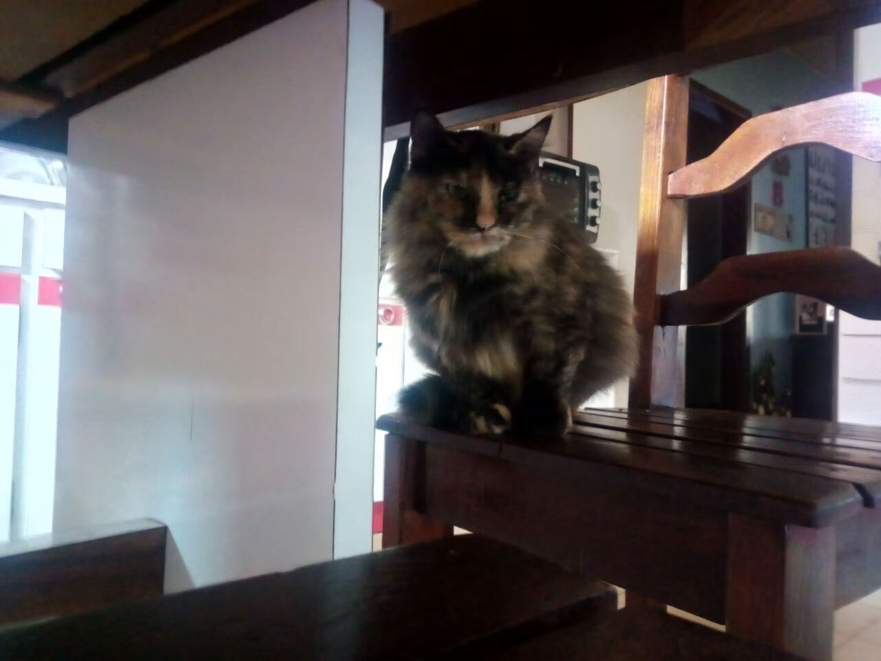 华体会网站-医药股如何应对特朗普新政冲击？，医药股还会继续走强吗